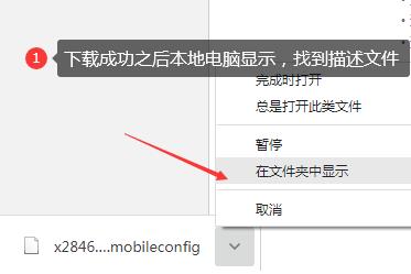 下载苹果免签打包描述文件,上传自有服务器,自建分发